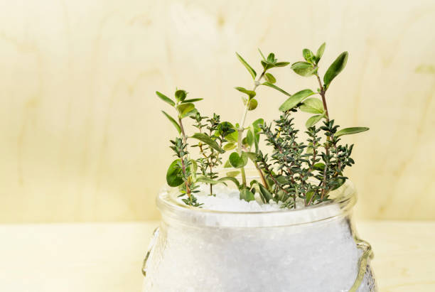 istock Origan , thyme and cooking salt 1397656725