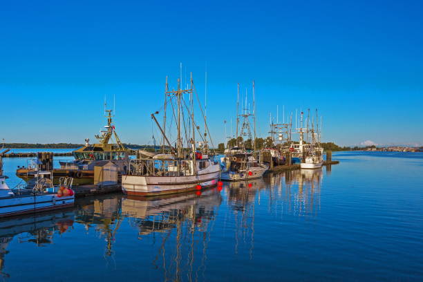 istock Fishing  Boats at the Marina 1397657681