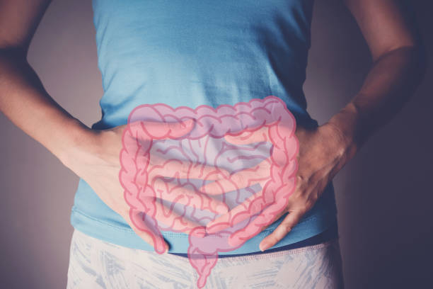 manos de la mujer en su estómago con inteslina, probióticos alimentos para la salud intestinal, cáncer de colon, concepto inflamatorio intestinal - intestino fotografías e imágenes de stock