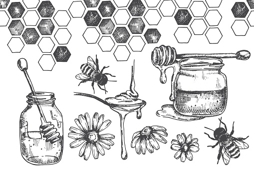 vintage vector drawing on the theme of honey, beekeeping. black and white illustration graphics, sketch. honey, honeycombs, bees.