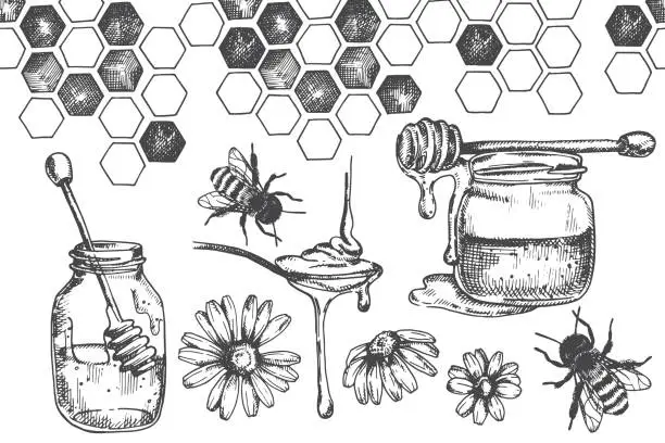 Vector illustration of vintage vector drawing on the theme of honey, beekeeping. black and white illustration graphics, sketch. honey, honeycombs, bees.