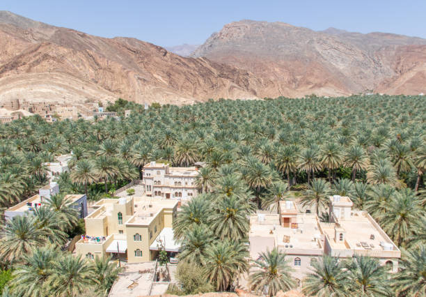 the amazing village of birkat al mouz - nizwa imagens e fotografias de stock