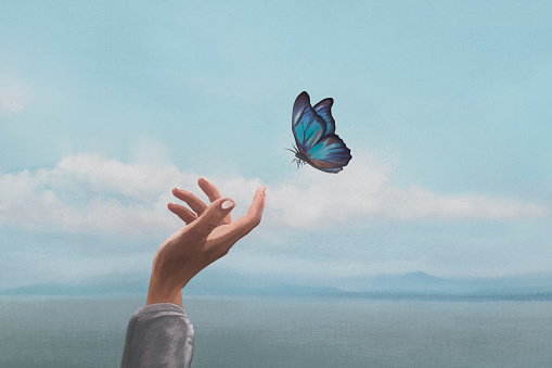 colorful butterfly is laying on a woman's hand