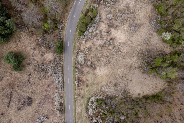 istock An Aerial Road Trip - forest with curved road 1397665468