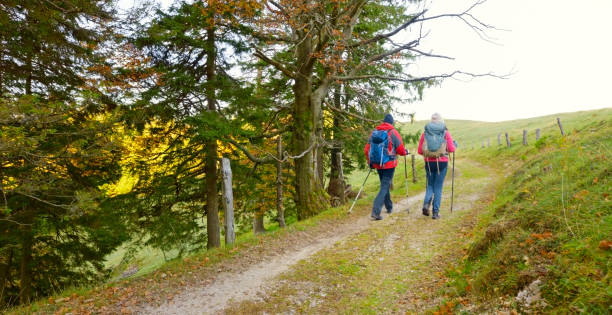 istock Couple walking on grassy landscape 1397666807