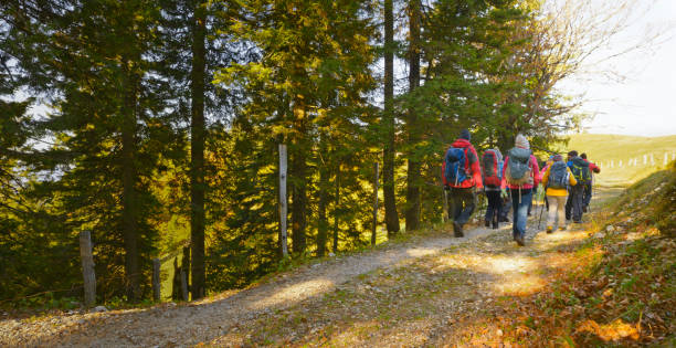 istock Friends hiking on footpath 1397666812