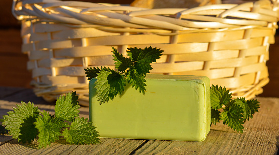 A piece of homemade green soap made with your own hands from nettles on a background of wooden boards and fresh nettles. Natural herbal cosmetic.