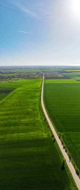 istock Aerial view of road between green fields, travel concept with highway 1397668917