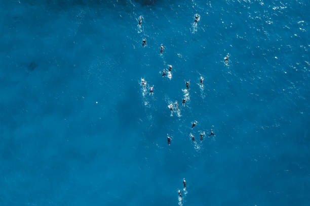 Topdown view of swimmers during open water competition