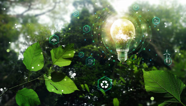 istock Environmental technology and Sustainable development, save the planet and energy, Recycle and reuse, Light bulb of eco friendly in the green nature. 1397670317