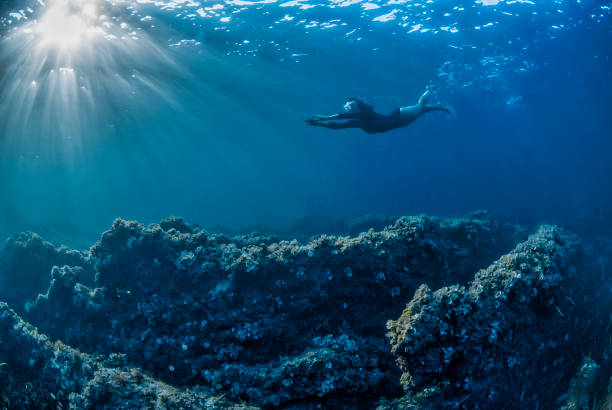 istock Freediving in the Mediterranean sea 1397670354