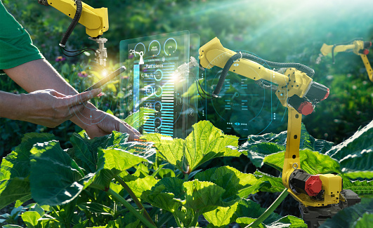 AI. Farmer use smartphone and robotics assistant. Pollinate of fruits and vegetables. Detection spray chemical. Leaf analysis and  fertilization. Science. Agriculture farming technology concept.