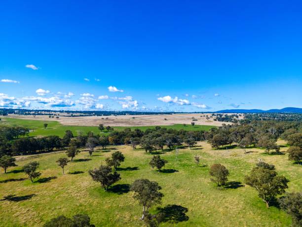 istock Seven River, Glen Innes, Australia 1397670791