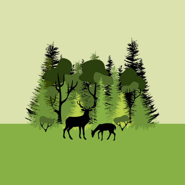 istock Colorful mixed forest and silhouette of deer. Green deciduous and coniferous trees on green background. Flat design. 1397670849