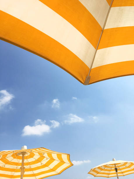 Yellow umbrellas on the beach Yellow beach umbrellas on a sunny day. Bright colored umbrellas on the beach. parasol photos stock pictures, royalty-free photos & images
