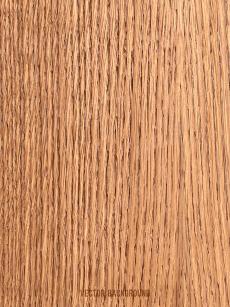 векторный текстурный фон дерева. полезно для создания эффекта поверхности для ваших дизайнерских изделий, таких как фон поздравительных о� - backgrounds copy space knotted wood natural pattern stock illustrations