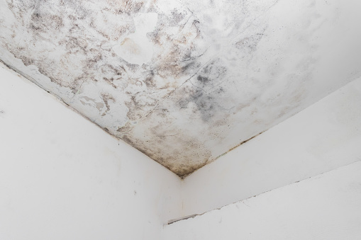 Water and mold  stain on the home ceiling. Concept of condensation, damp, water infiltration, high humidity and respiratory problems.