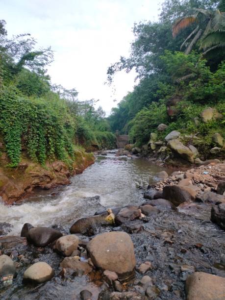Natural view on the river , river water flows fast in the morning day.