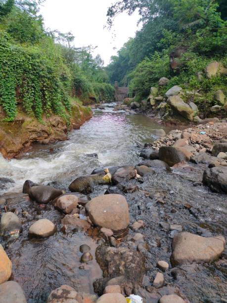istock Natural view on the river , river water flows fast in the morning day. 1397677678