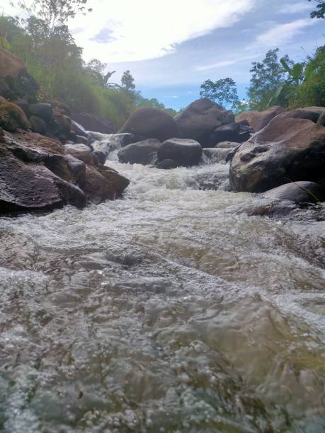 istock Natural view on the river , river water flows fast in the morning day. 1397677711