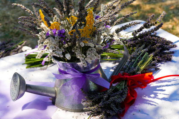 istock campi di lavanda in fiore. Italia 1397677761