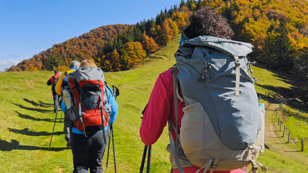 istock Hikers walking on grassy landscape 1397678712