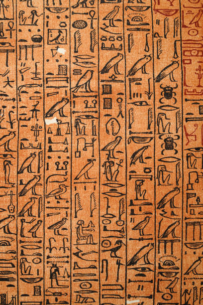 illustrations, cliparts, dessins animés et icônes de hiéroglyphes égyptiens anciens du papyrus d’ani, art - hiéroglyphes