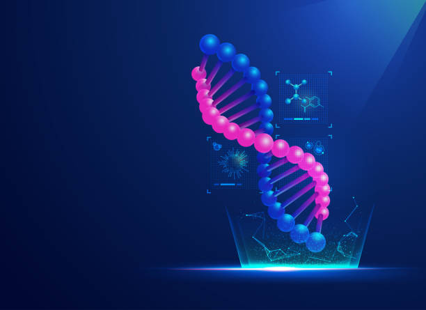 scienceDNA concept of biotechnology or biochemistry, graphic of DNA strand with medical futuristic element dna test stock illustrations