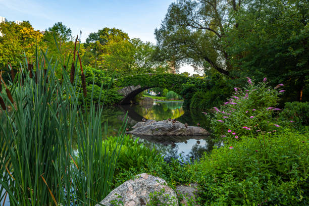 istock Gapstow Bridge in Central Park 1397683730