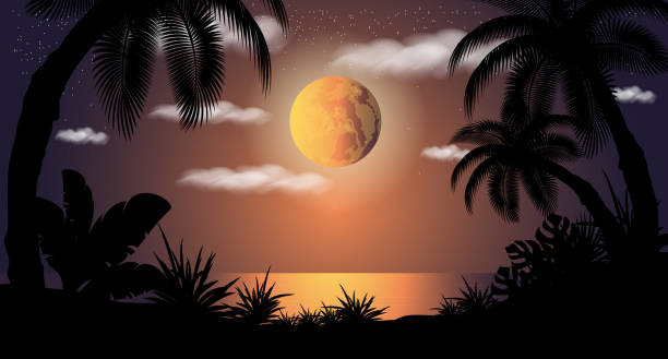 ilustrações de stock, clip art, desenhos animados e ícones de tropical forest silhouette. - rainforest tropical rainforest forest moonlight