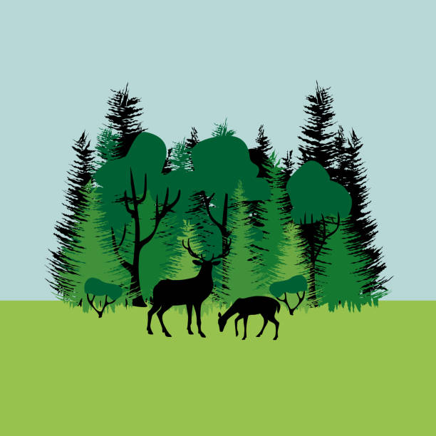 istock Colorful mixed forest and silhouette of deer. Green deciduous and coniferous trees on blue sky background. Flat design. 1397684876