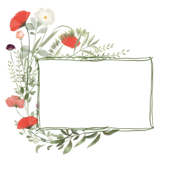 istock Frame of watercolor poppies and meadow plants, illustrations on a white background 1397687285