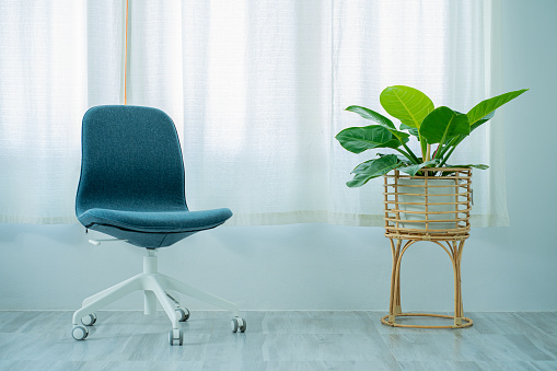 Office chair with plant pots next to room decor ideas