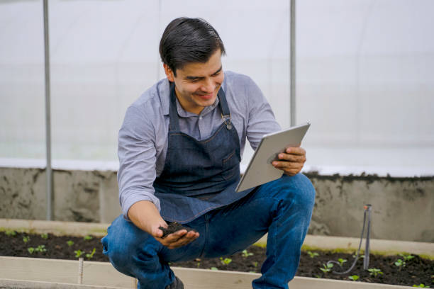 istock Man is working at the organic farm. Planting vegetable. 1397690722