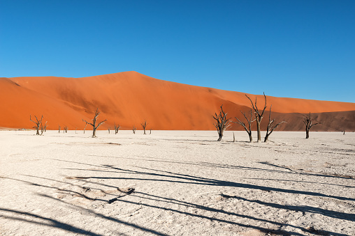 Deadvlei is part of the Namib-Naukluft National Park. The trees died about 850 years ago and have been preserved by the extreme desert climate.