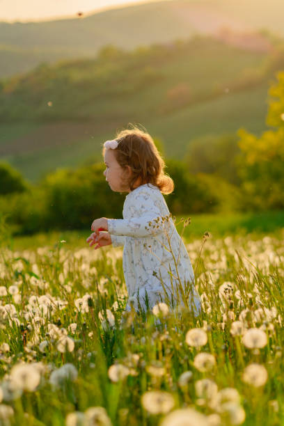 istock Little girl in meadow 1397692544