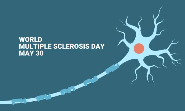 World Multiple Sclerosis Day banner, vector illustration of neuroprotective damage. World Multiple Sclerosis Day banner, vector illustration of neuroprotective damage. medulla stock illustrations