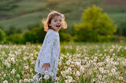 Little girl in meadow