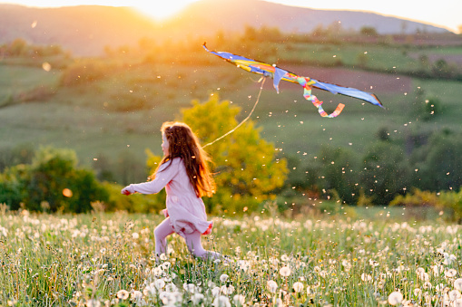Cute little girl playing with kite in nature