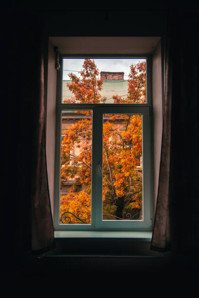 istock flat room window view from the inside with outdoor autumn leaves on tree October season time, vertical photography 1397694591