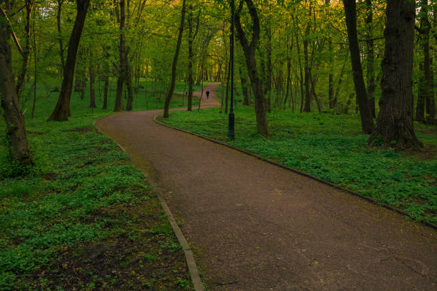 common park with trees and green meadows, walking space with trail