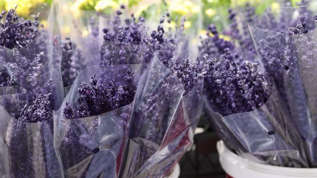 Small bouquets of fragrant fresh lavenders in market