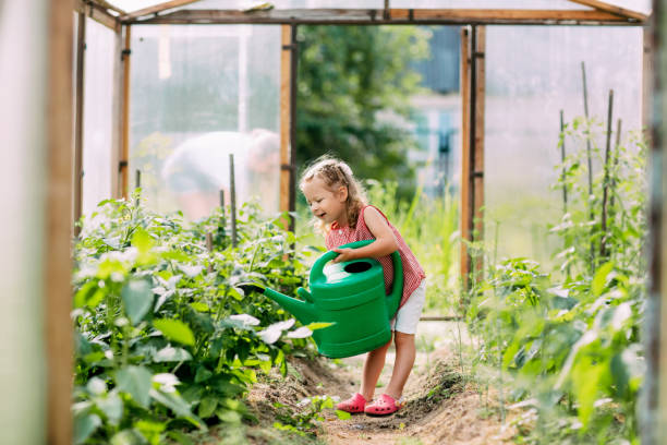 un bambino allegro con un annaffiatoio innaffia le piante nella serra, aiuta a prendersi cura di loro. infanzia, assistente della madre, cura delle piante - vegetable child growth people foto e immagini stock