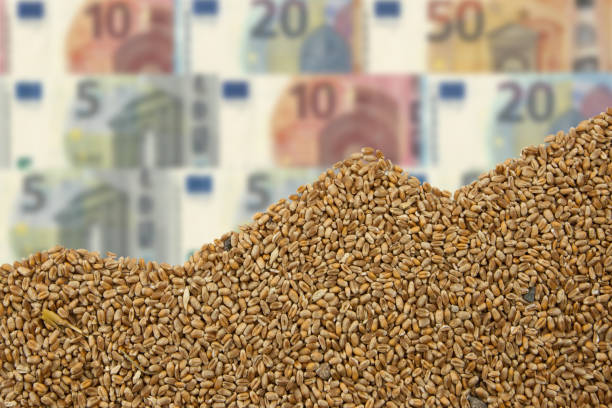 istock The price of grain keeps going up. 1397696494