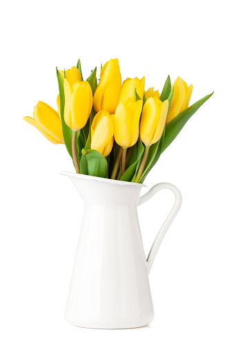 Yellow tulip flowers bouquet on white background. Isolated on white