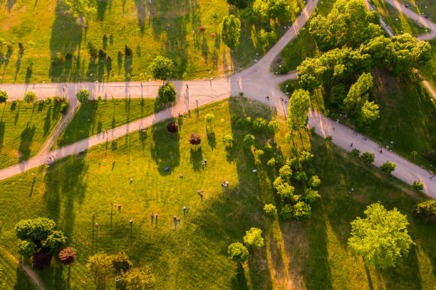 istock Evening activities in local park green area 1397703386