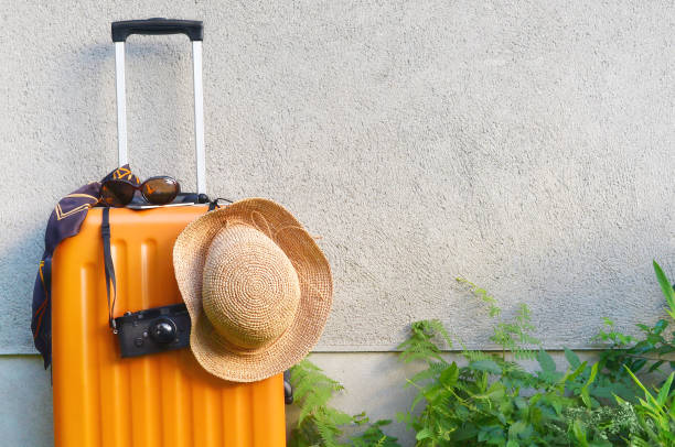Suit Case ,Straw-Hat & Camera in Front of the Wall