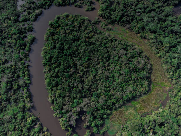 istock Drone photography of the Amazon River. 1397705971