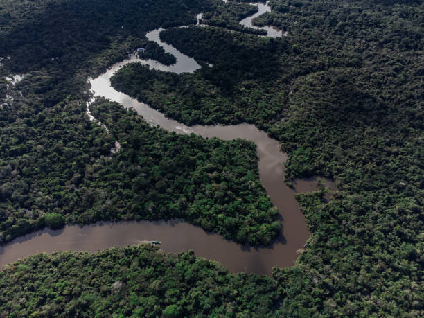 istock Drone photography of the Amazon River. 1397705972