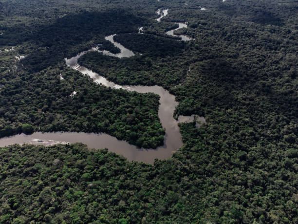 istock Drone photography of the Amazon River. 1397705973